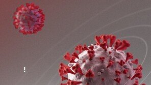 오미크론보다 빠른 BA.2.12.1 중국서 첫 감염자 확인