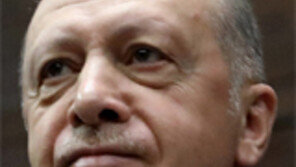 美 보란듯 ‘나토가입 거부권’ 카드 흔드는 터키