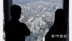“2020년까지 부동산 거품 없었다…정책-경제상황 변화가 집값 상승 원인”