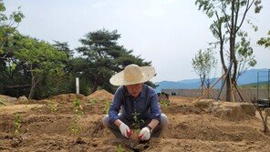 “자연인”으로 돌아간 文 전 대통령, ‘책 정리·밭일 시작’ 일상 공개