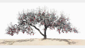 한국 대표 현대사진가 52명 작품을 한 권에