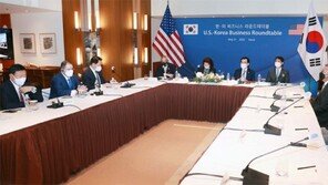 기업들 ‘한미동맹 중심축’으로 역할 커져, 공급망 안정 기대… ‘中보복’ 역풍 우려도 