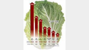 때이른 더위에 배추-무값 급등… ‘金채소’ 비상