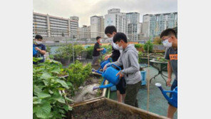 서울시민 도시녹화 제안, 나무 10만그루 심었다