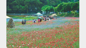 봄에 물든 황룡강