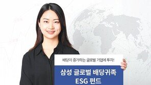 글로벌 ESG 기업 중 고배당주에만 투자