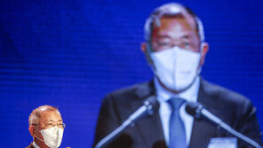 정의선 회장 장녀, 김덕준 전 장관 손자와 내달 결혼…대우家와 사돈