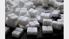 인도, 밀 이어 설탕 수출도 제한…식량안보 조치 확산