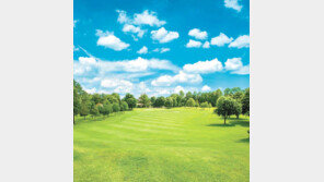 수도권 골프장 4인 무기명 회원권