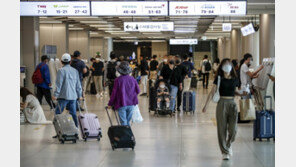 뉴욕 왕복 410만원… “방역탓 운항 못늘려 가격 껑충”