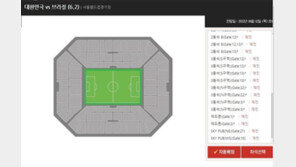 손흥민 향한 뜨거운 관심에 브라질전 매진…티켓 예매 사이트 먹통