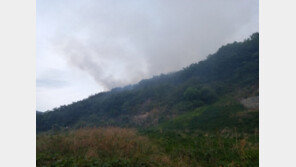 밀양 산불 발생… 2시간여 만에 진화완료