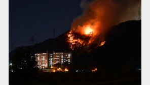 김해 아파트 뒷산서 산불