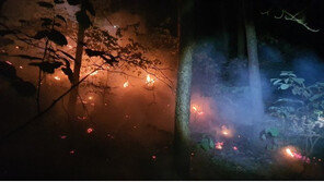 가평 화엄산 애기봉 산자락서 산불…4시간 만에 진화