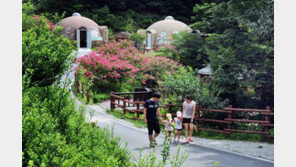 전국 국립자연휴양림 성수기 이용 신청 6월 9∼16일 접수