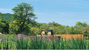 “일단 오늘 오후는 쉬자”… 제주서 느끼는 스누피의 힐링 메시지