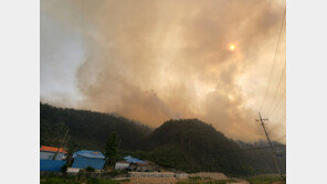 경북 울진 야산서 화재…산림청 ‘산불 2단계’ 발령
