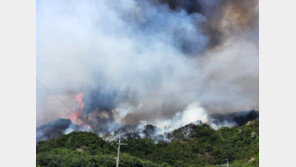 이상민 행안부 장관, 울진 산불 대응 긴급지시…“가용자원 신속투입”