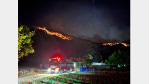 경북 울진 산불 3단계로 상향…산불국가위기경보 ‘심각’