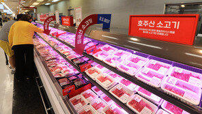 수입 육류마저 1년새 39% 상승…소고기 56%·닭 37%·돼지 14%↑
