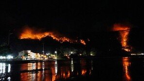 尹대통령 “울진 산불, 완진까지 철저히 관리” 지시