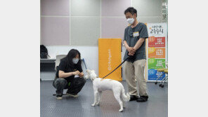 “반려동물과의 행복한 공존 도와드려요” 