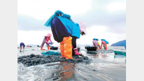 “어촌 정착 이렇게 하면 됩니다” 우수 귀어귀촌 사례 발굴