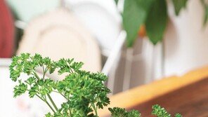 버리면 쓰레기, 활용하면 보물…제로웨이스트 실천법