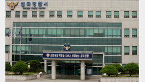 경북 칠곡서 훔친 차로 경찰 순찰차 들이받은 10대 검거