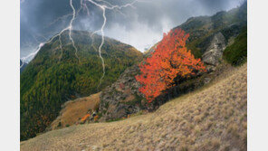 엄마등 업힌 아이까지…2가구 온가족 7명 벼락 맞아 사망