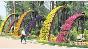 부산시민공원 ‘봄꽃 전시회’