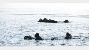 경북도, 해녀문화 계승사업 나선다