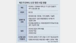 “한국 국내 원전활성화, ‘K원전’ 신뢰성 회복시킬 것” 