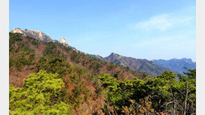 도봉산 여성봉서 40대 남성 50m 추락…헬기로 구조