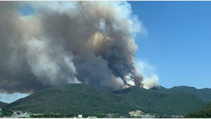 경남 밀양서 산불…산불국가위기경보 ‘심각’ 발령
