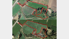 9년 걸쳐 ‘축구장 7개 규모’ 제주 산지 훼손한 50대 집행유예