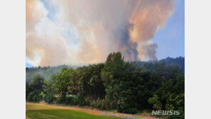 대구 달성군 하빈면 야산서 불…진화 중