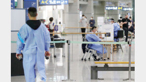 원숭이두창, 오늘 법정감염병 지정될 듯…20개국 435명 감염