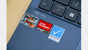 [리뷰] 내장 그래픽의 한계를 다시 썼다, AMD 라이젠 7 6800U