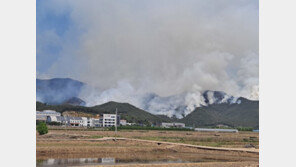 밀양 산불 7시간째, 헬기 44대 투입…현재 피해면적만 150㏊ 추정