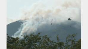 밀양 산불 진화율 16%, 187ha 피해 추정…야간 진화 계속