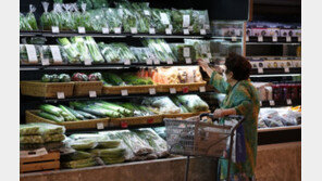 스태그플레이션 현실화 되나…생산·소비·투자 26개월 만에 ‘트리플 감소’