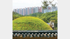 ‘왕릉 뷰’ 아파트 입주시작, 논란은 계속