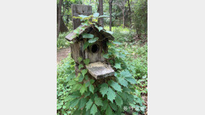 [고양이 눈]임대 문의