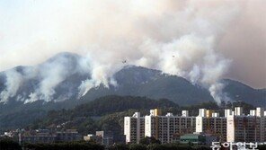 밀양 산불, 강풍 타고 번져… 구치소 수감자 391명 긴급이송