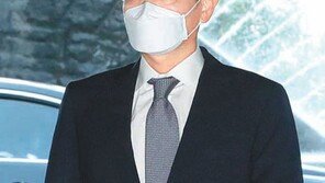 경영보폭 넓히는 이재용… 재계 “삼성 위기감 반영”