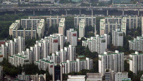 지방선거 끝나면 집값 조정 오나…“관망세 계속” vs “불안요소 산재”