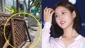 음주사고뒤 채혈검사하자더니…김새론 면허취소 수준
