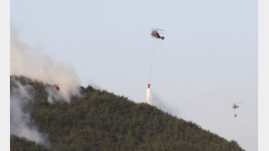 밀양 산불 27시간째, 진화율 60%…피해면적 356㏊ 추정