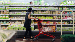 특고 200만원, 택시기사 300만원…尹 첫 민생지원 언제·어떻게?